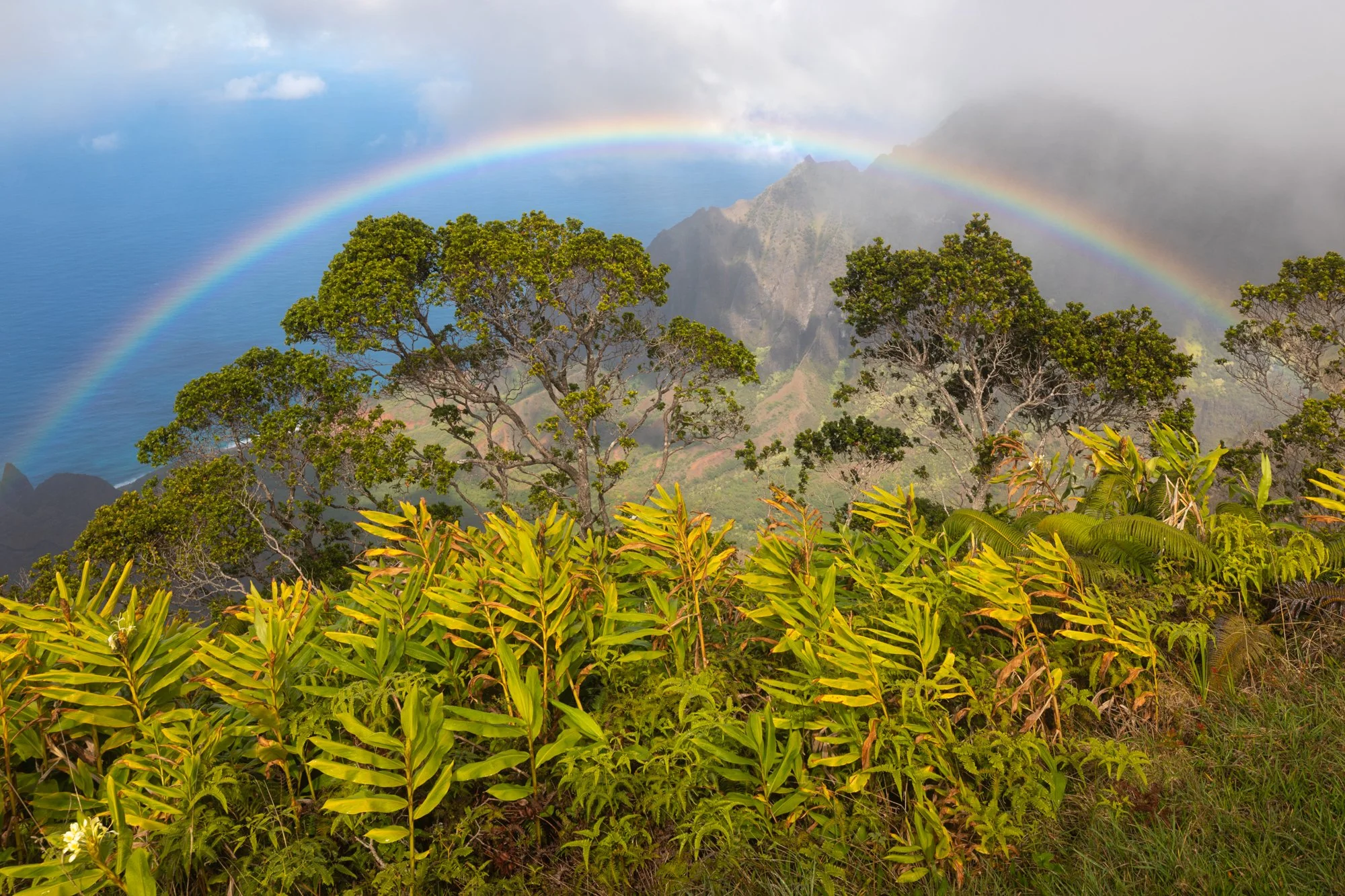 Kauai-KalalauLookout-1-2.jpg