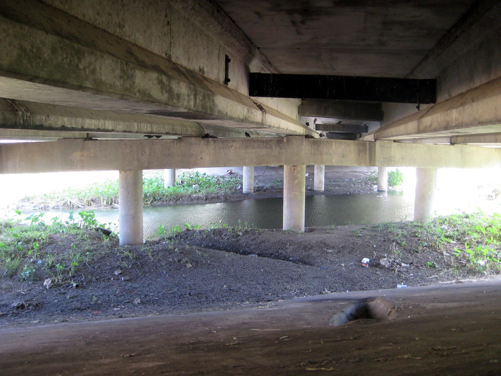 From Under The Bridge