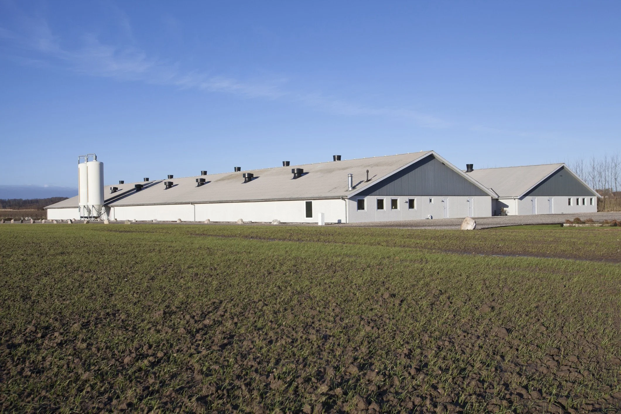 sermo.farm poultry barn.jpeg