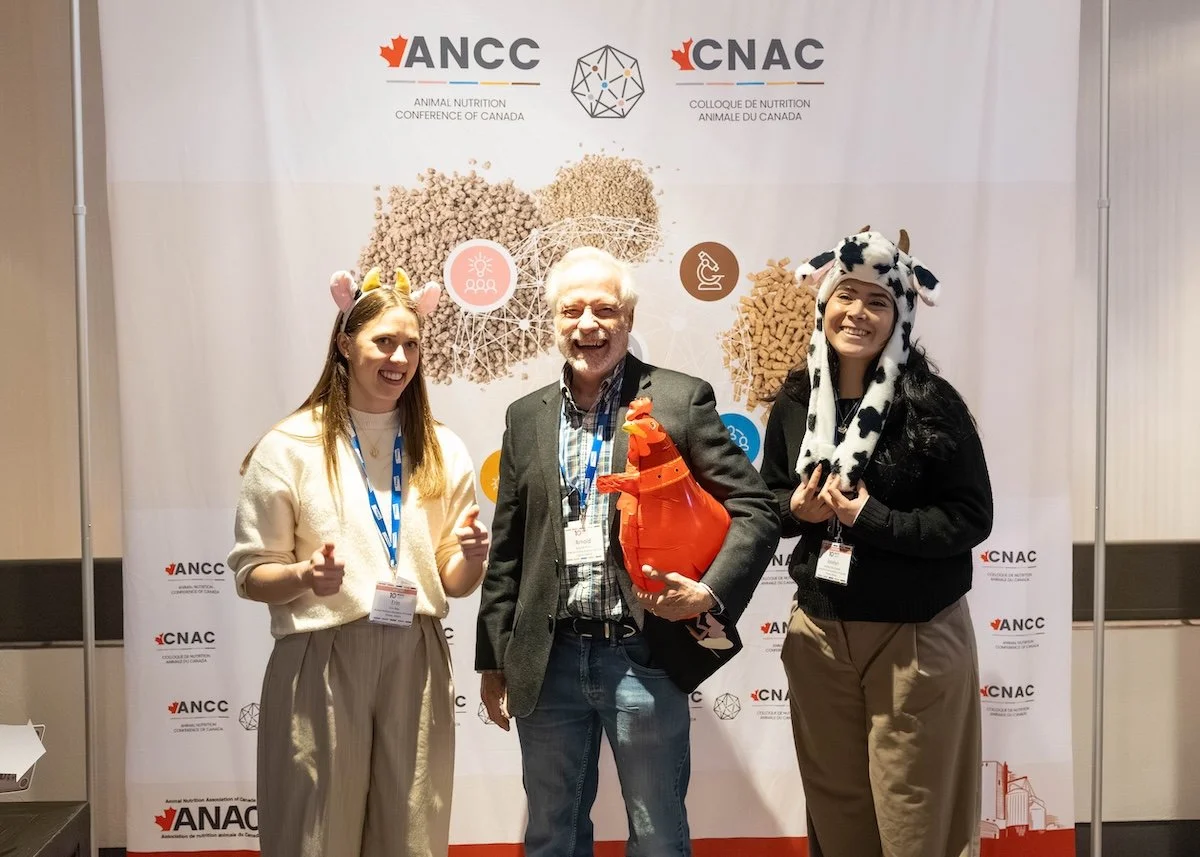 ancc 26 6.jpg