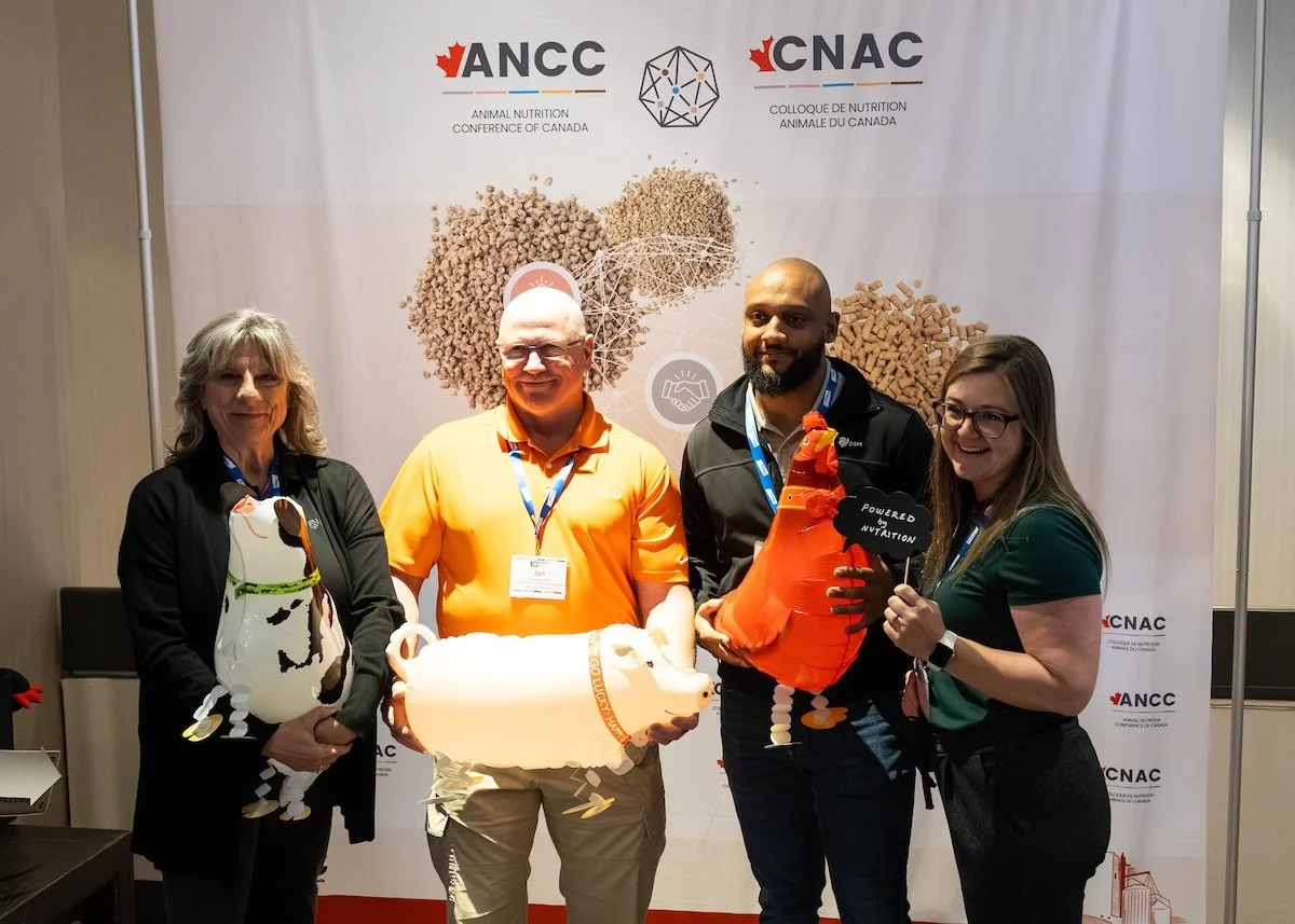 ancc 26 2.jpg