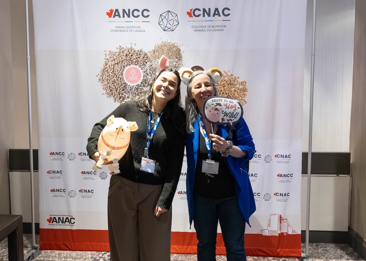 ancc 26.jpg