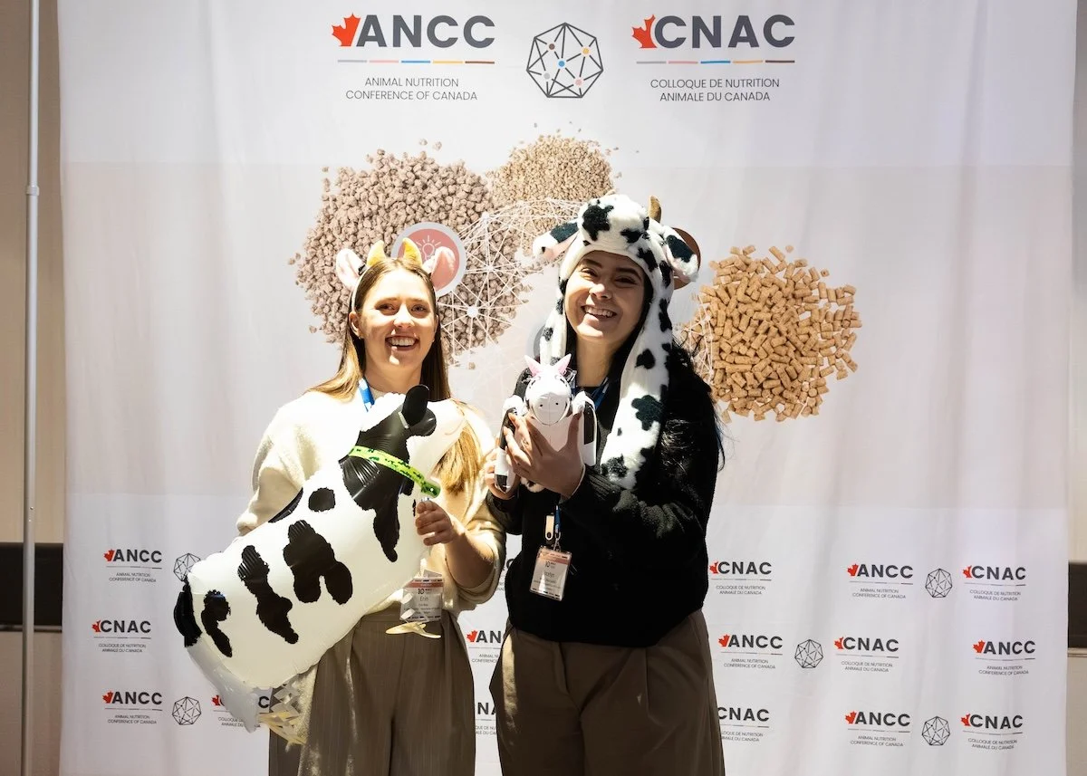ancc 26 5.jpg