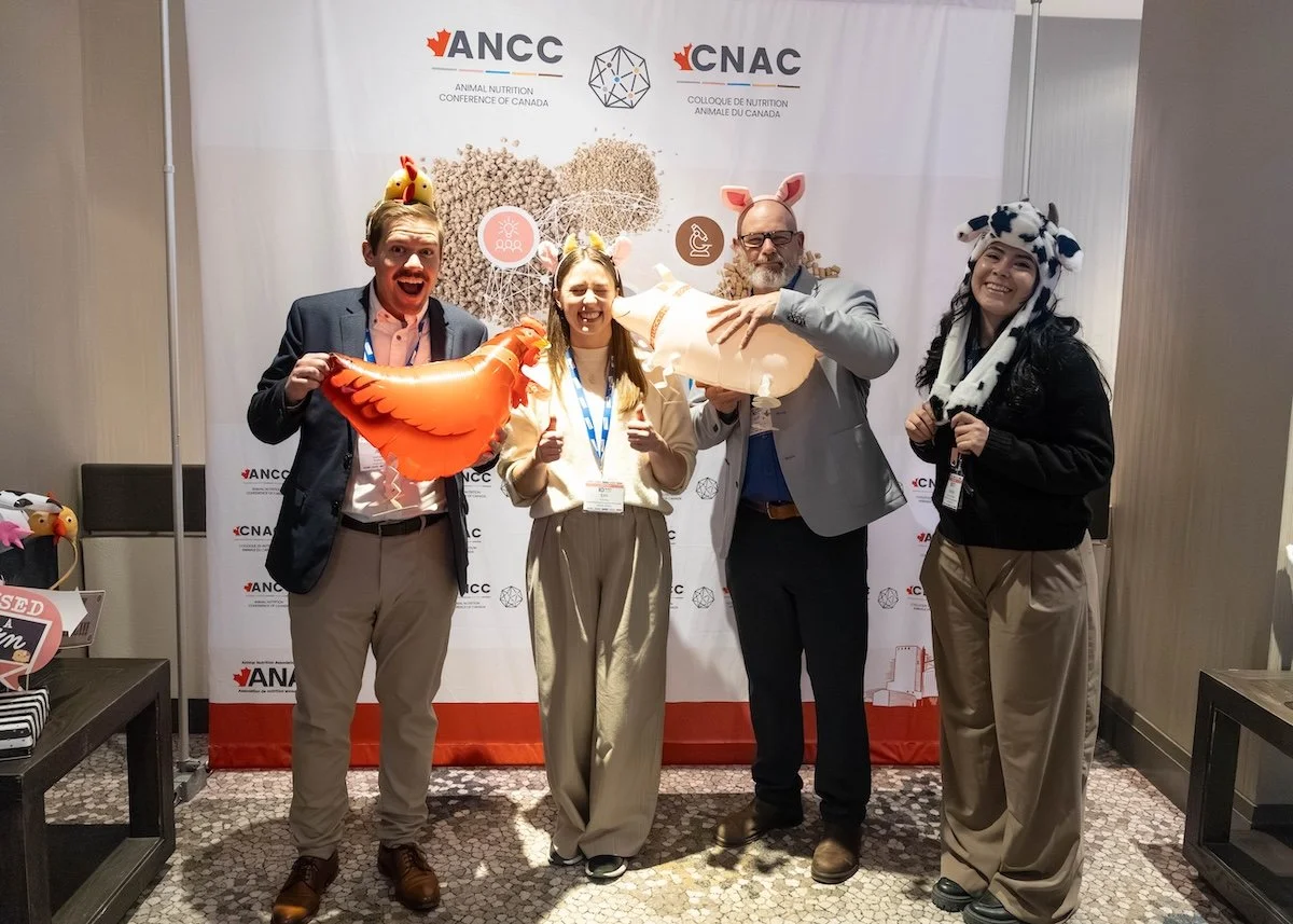 ancc 26 7.jpg