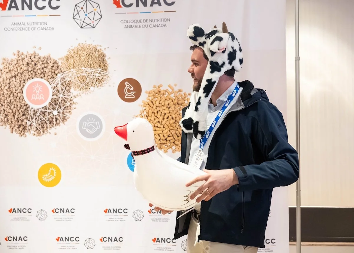 ancc 26 3 .jpg