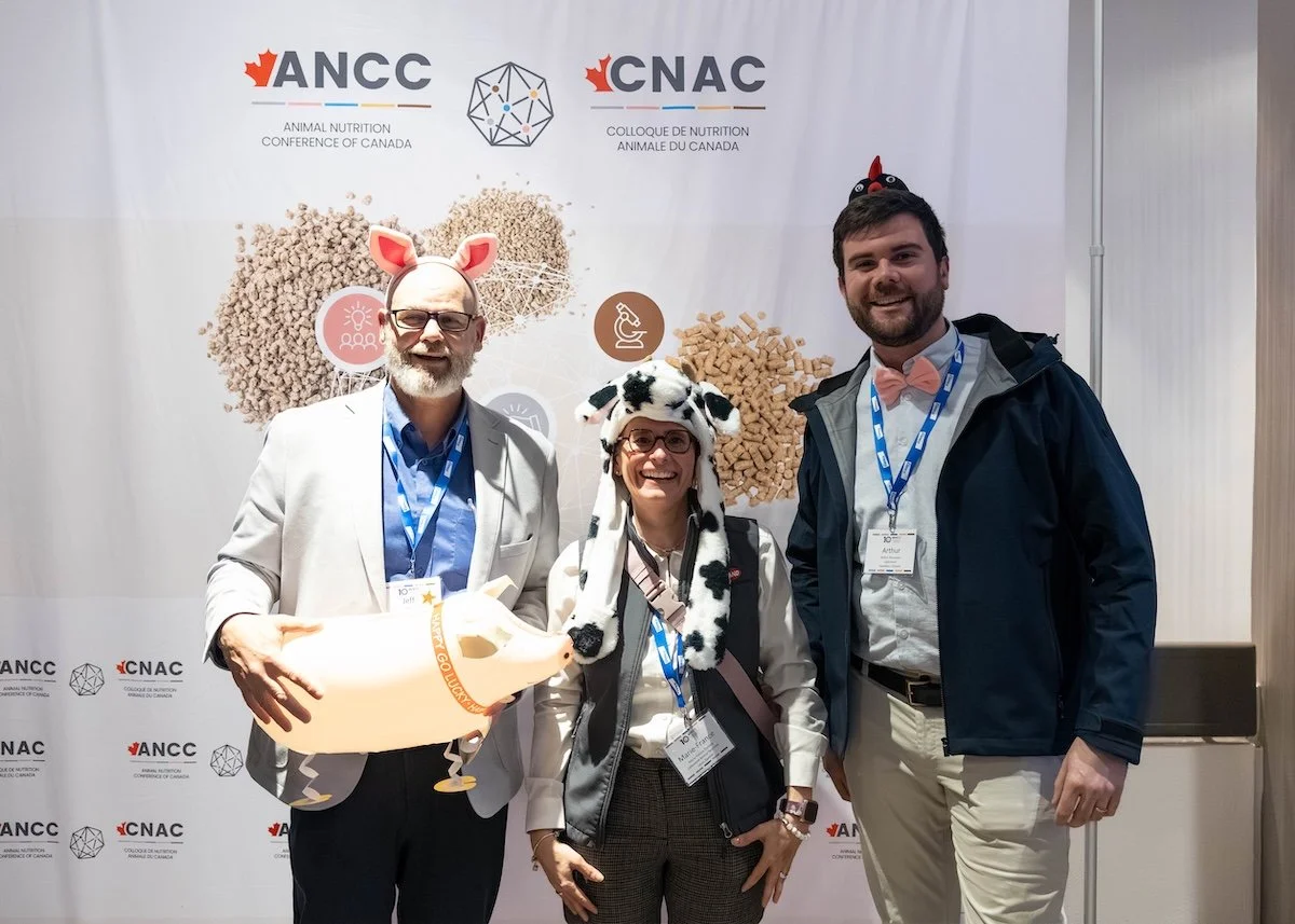 ancc 26 10.jpg