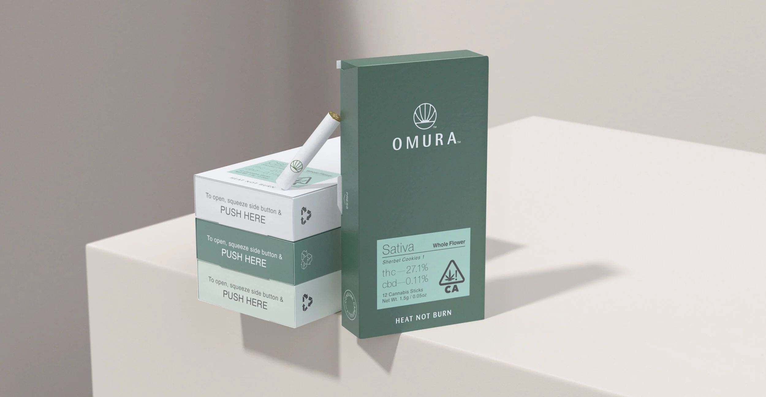 Omura_7-sm.jpg