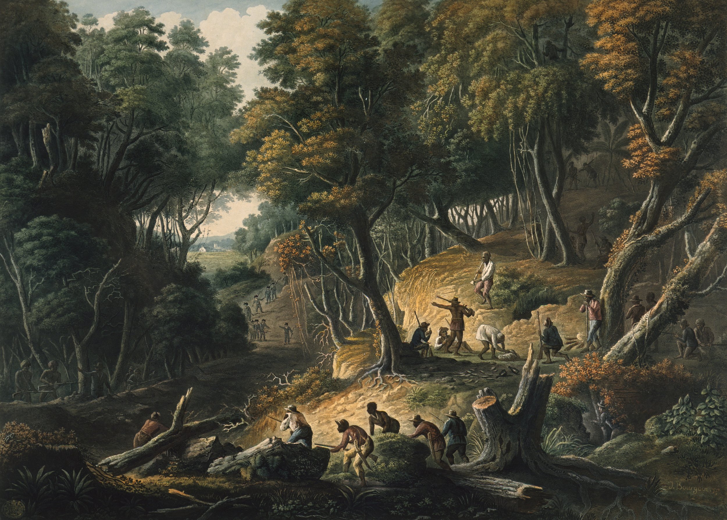 (c) The British Library Board. The Maroons in Ambush on the Dromilly Estate in the Parish of Trelawney, Jamaica (1801)