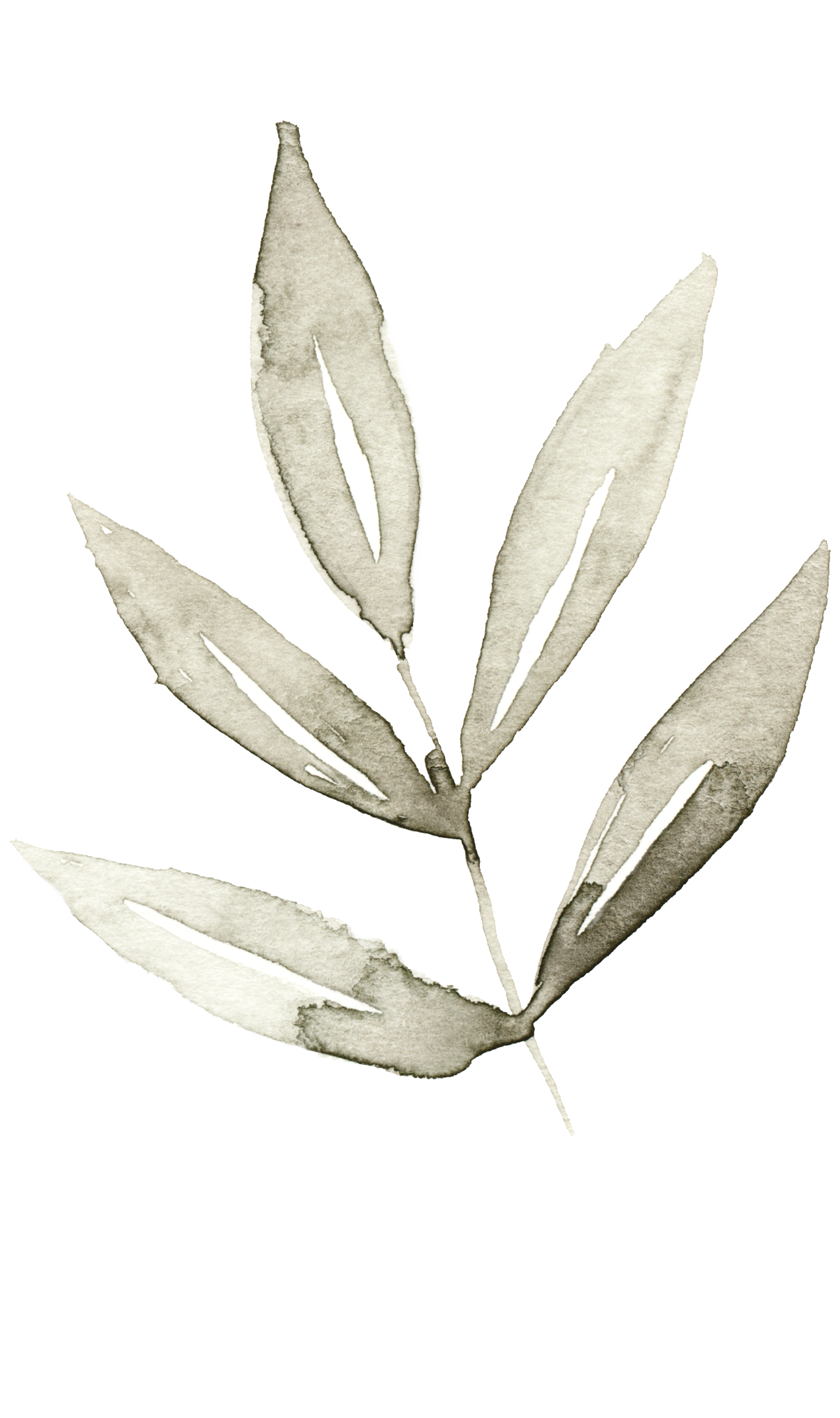 3 Things I Love About Kansas