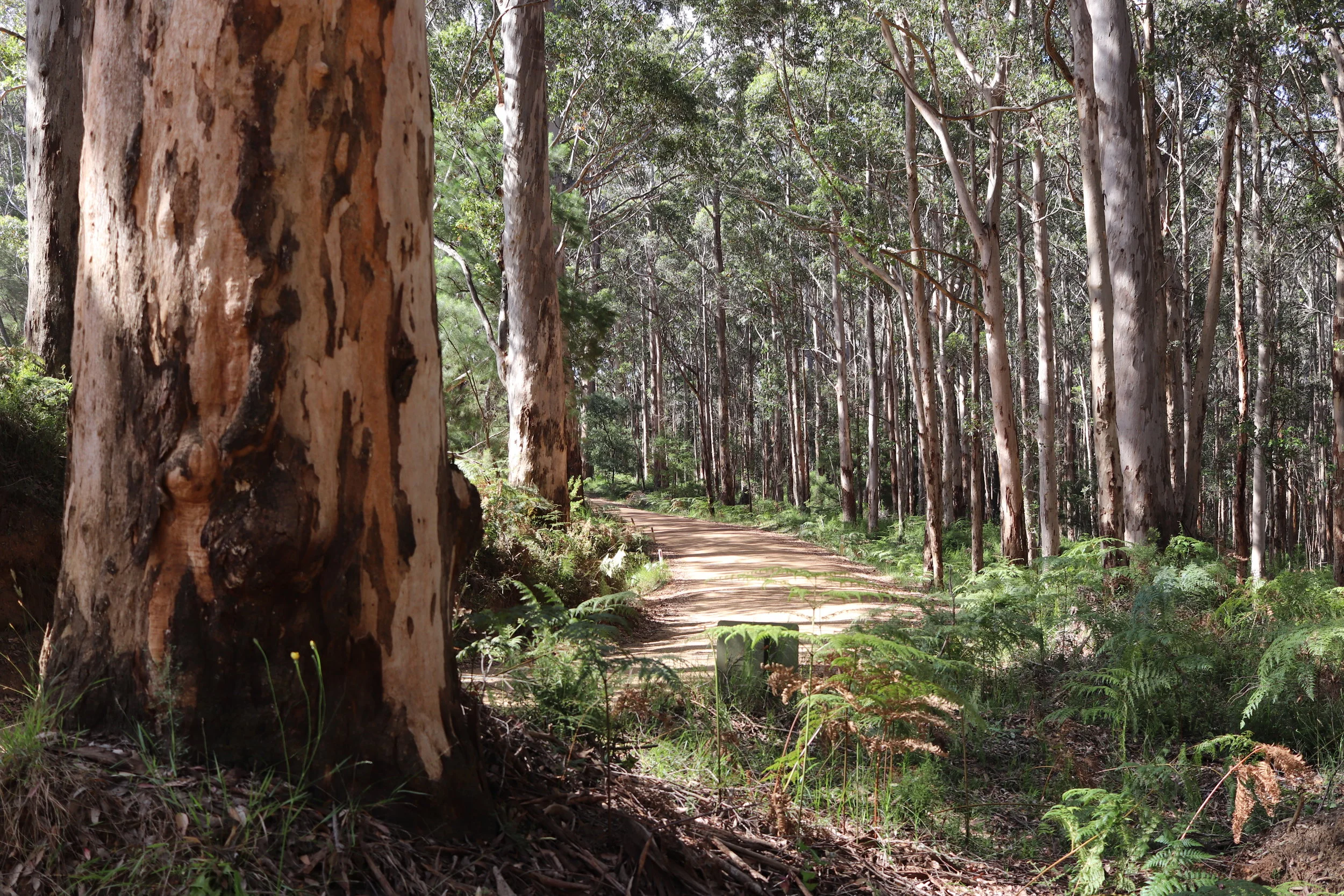 Creations Homes & Creations Constructions