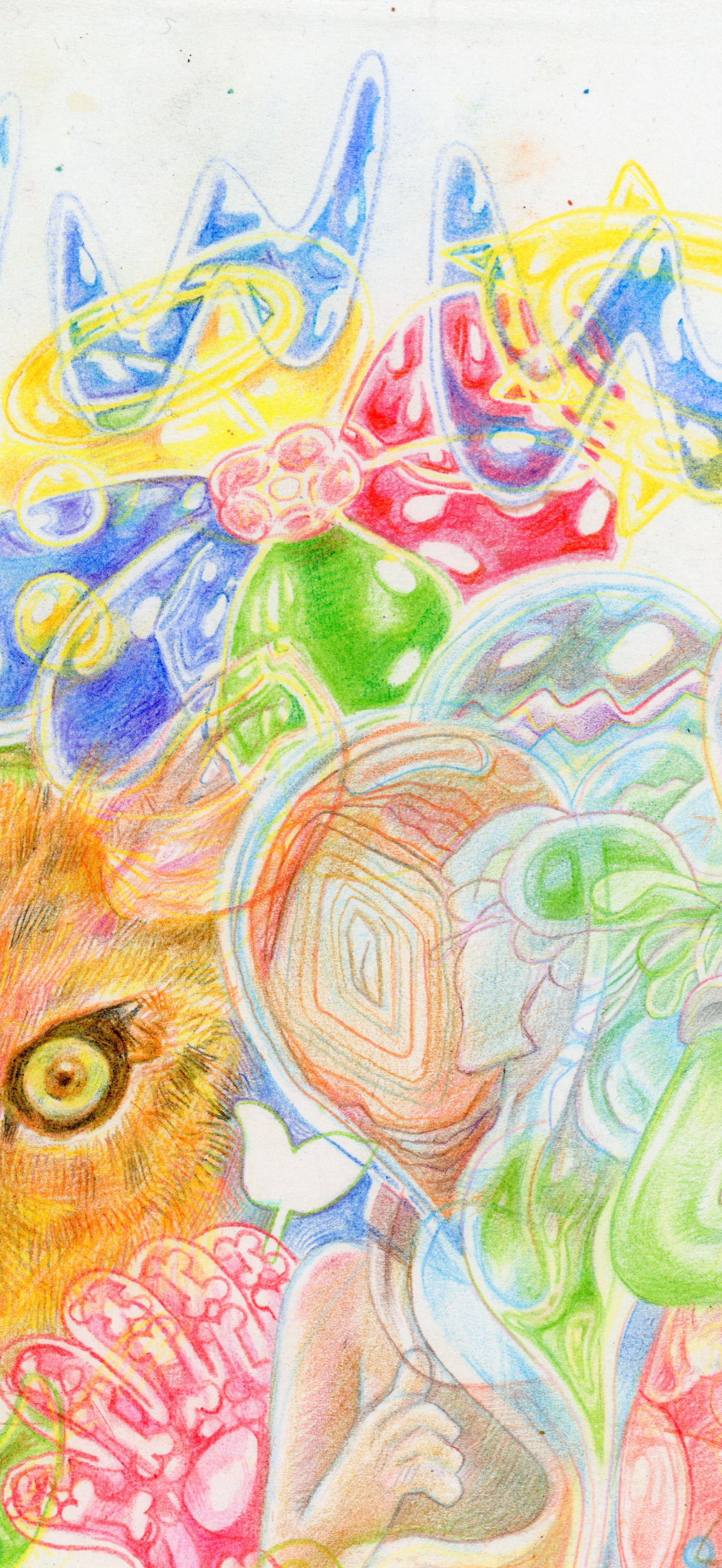 612F5D65-BBFD-4EDE-B40C-46911E23188C.png