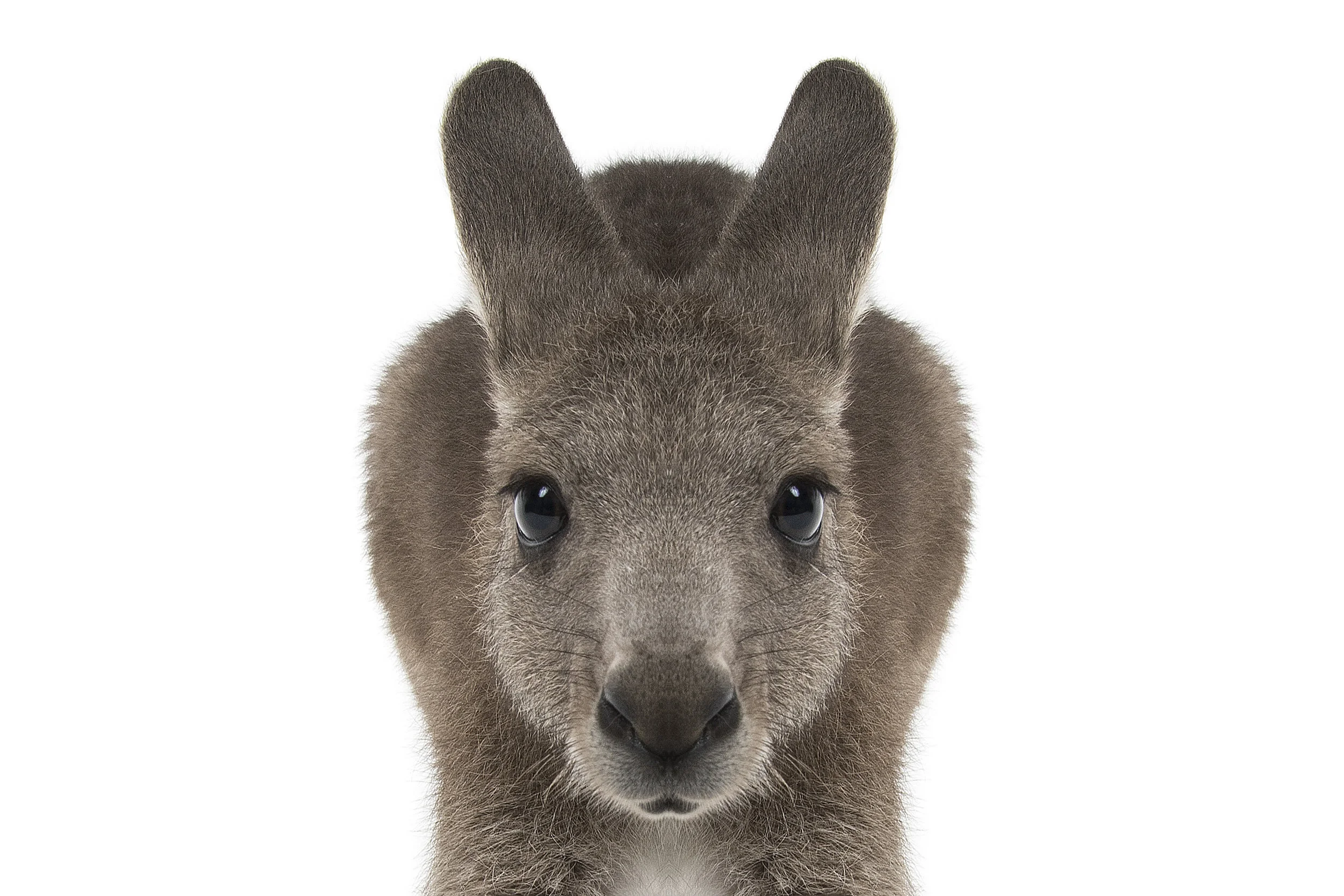 “Knowing yourself is the beginning of all wisdom" | Aristotle