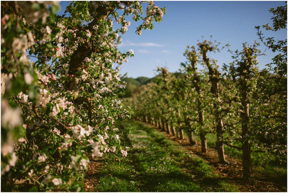 poroka-wedding-inspiration-spring-styled-session-sanjska-obleka-nika-grega-orchard-themed-destionation-photographer-slovenia-poročni-fotograf-slovenija-europe-boho-romantic-vintage 001.jpg