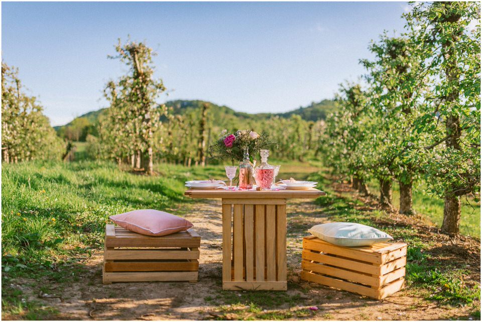 poroka-wedding-inspiration-spring-styled-session-sanjska-obleka-nika-grega-orchard-themed-destionation-photographer-slovenia-poročni-fotograf-slovenija-europe-boho-romantic-vintage 006.jpg