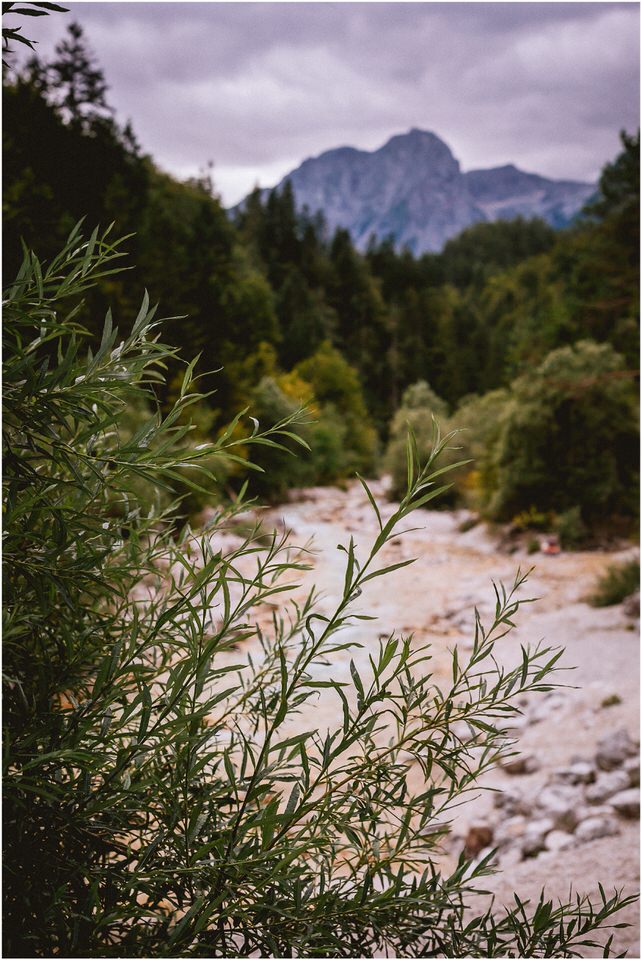 02 kranjska gora poroka porocni fotograf nika grega slap zelenci narava triglavski narodni park zaroka predporocno fotografiranje (2).jpg