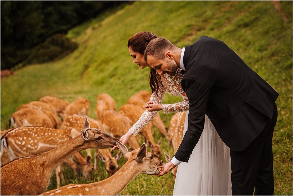 jelenov greben olimje poroka wedding slovenia outdoor storija weddings deer nika grega romantic wedding photographer 0092.jpg