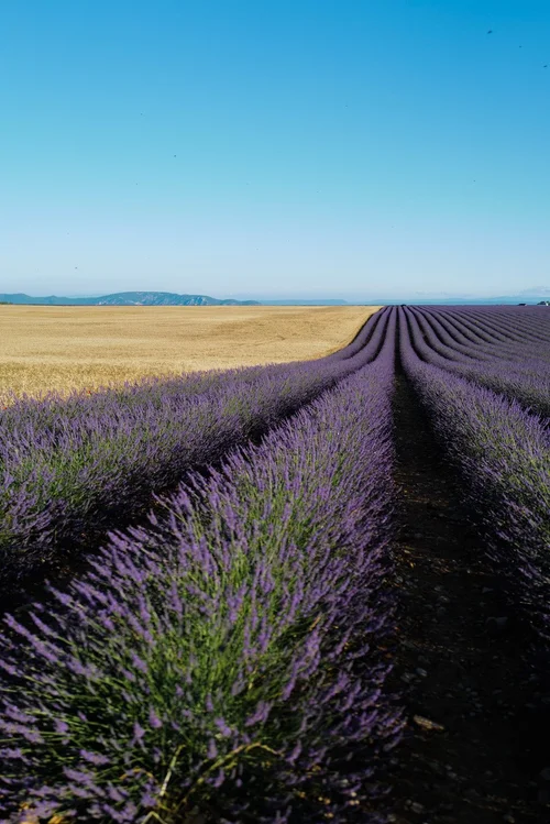 Provence meine zehn Highlights BeFifty