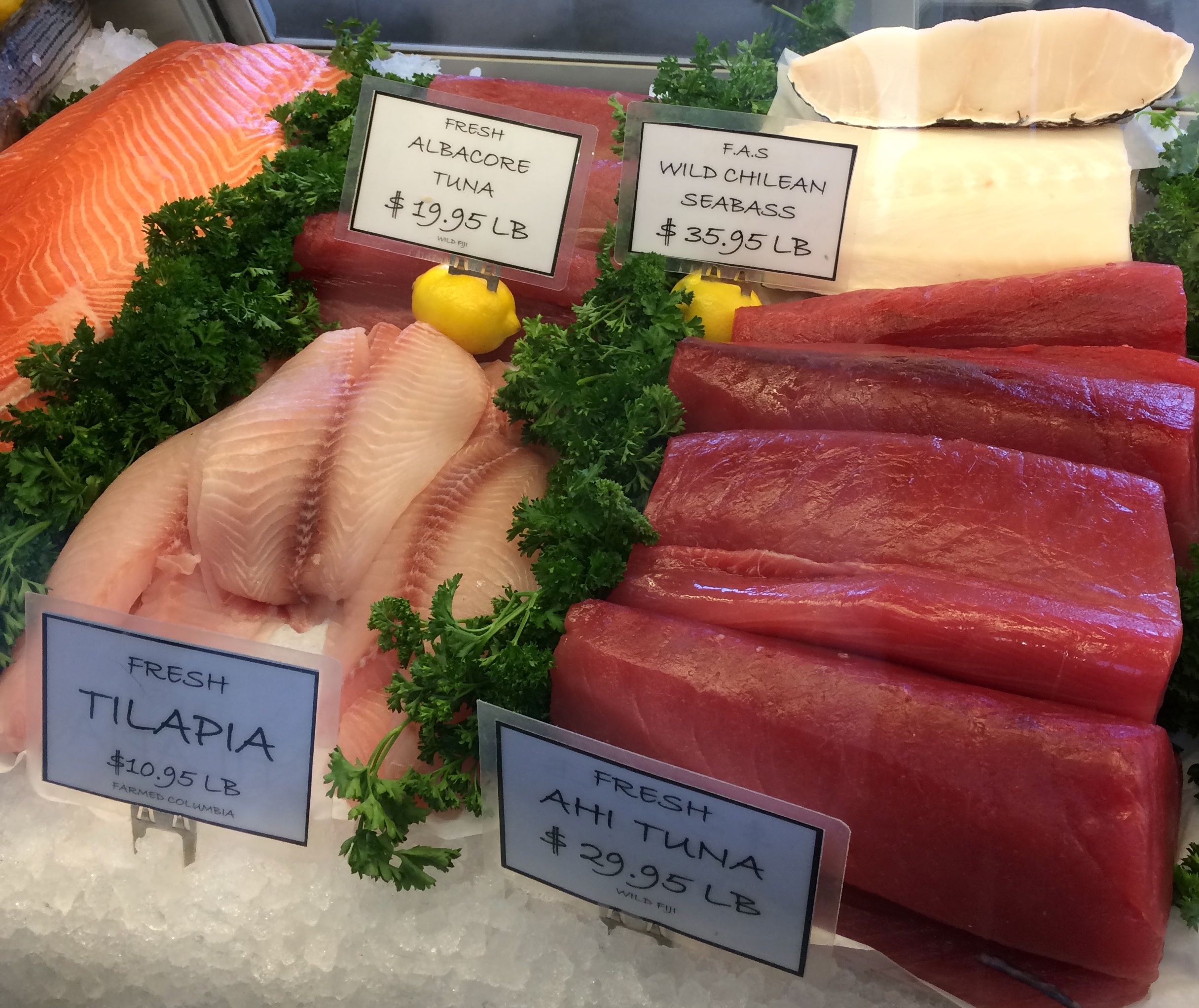 Frischer kann ein Fisch nicht sein