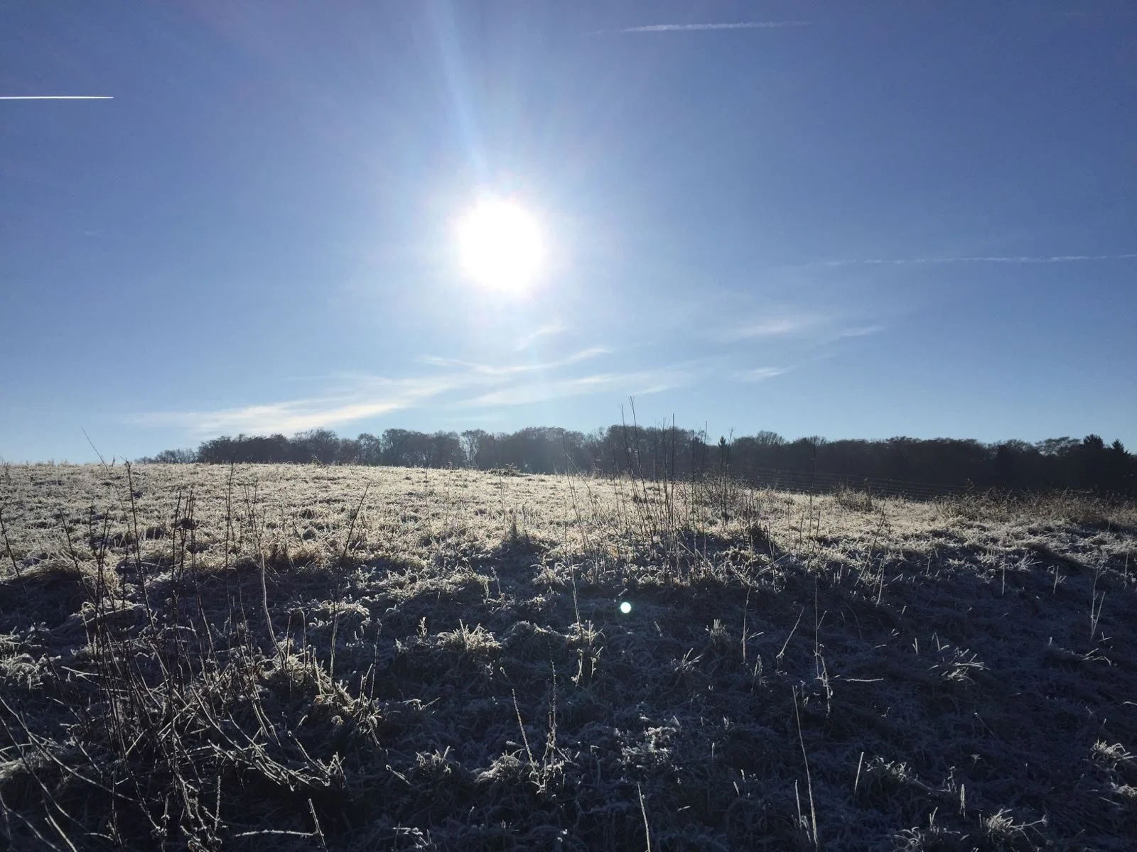 19.12.2016 - Stille Zeiten