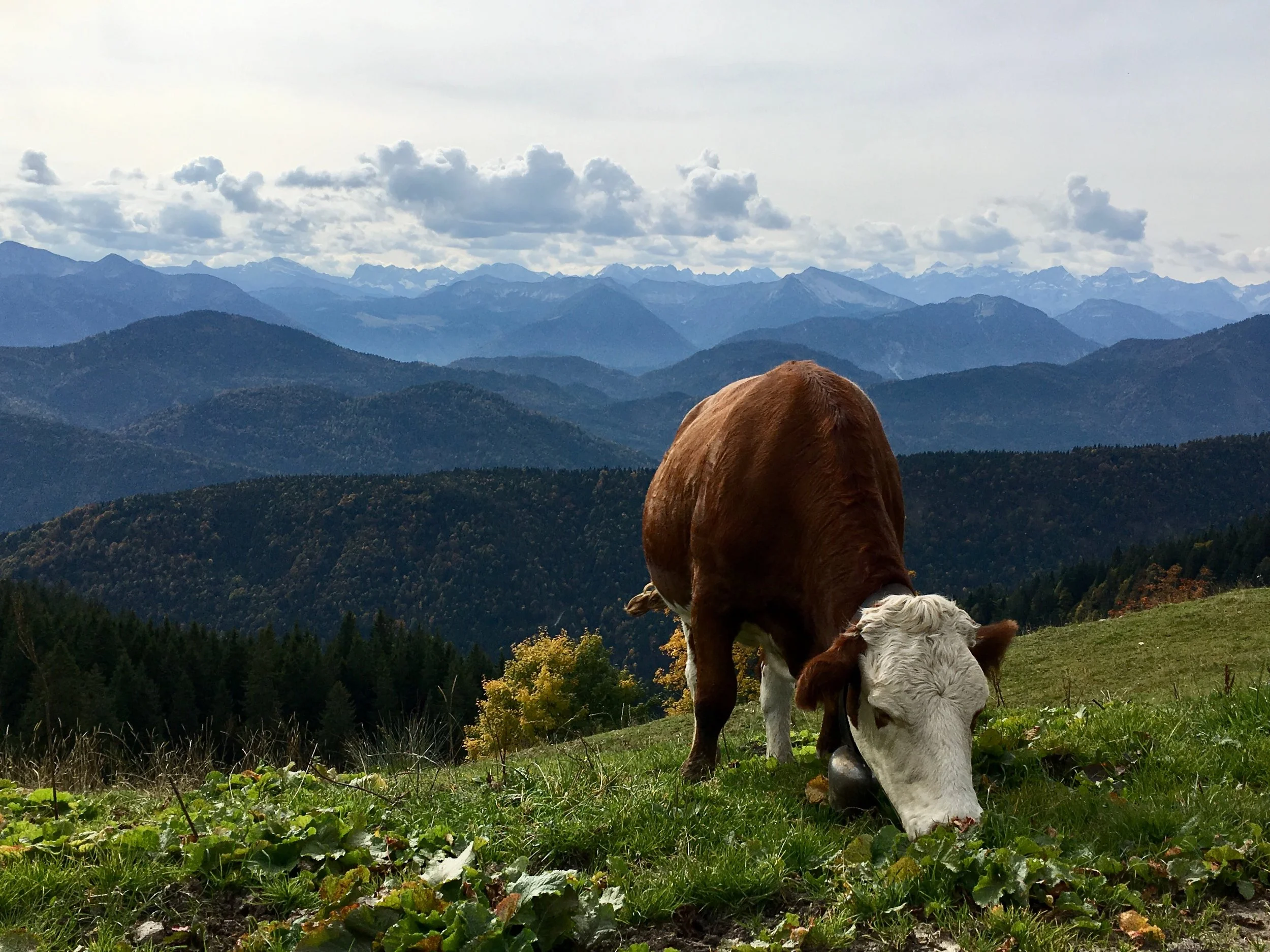 Ausflüge von München. Die schönsten Plätze in Bayern und Tirol. Brauneck und Tirol. BeFifty Blog für Frauen über 40 und ab 50. Beate Finken. Wandertipps in Bayern und Tirol. Eng und Ahornboden Tirol.