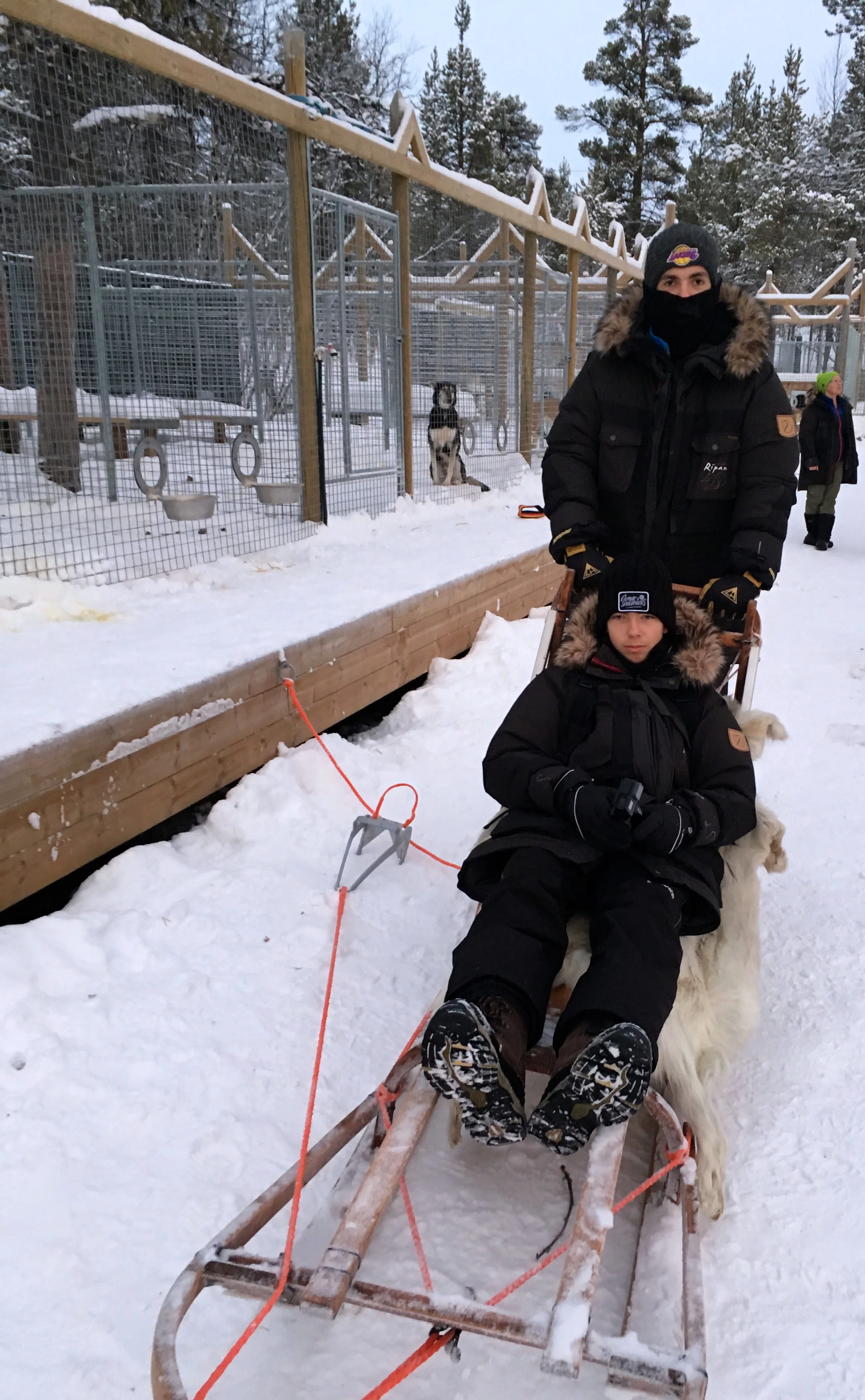 Hundeschlitten Schweden Huskys Lappland Reisetipps Schweden im Winter Hundeschlitten-Fahrt BeFifty Blog für Frauen über 40 und ab 50 Beate Finken