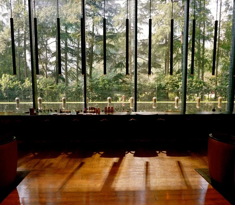 Warum „THE PULI“ meine absolute Nr. 1 ist