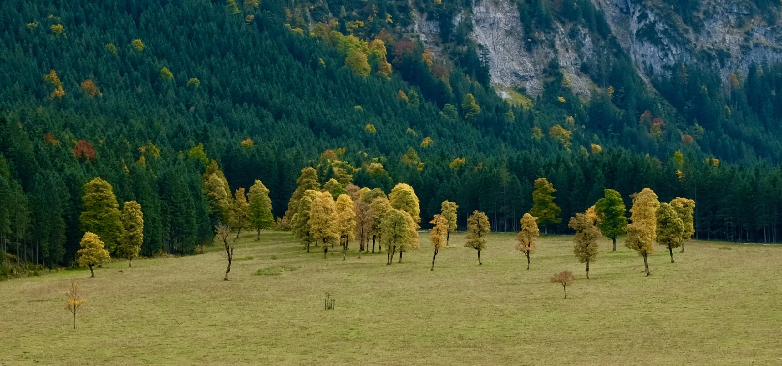 Ausflüge von München. Die schönsten Plätze in Bayern und Tirol. Brauneck und Tirol. BeFifty Blog für Frauen über 40 und ab 50. Beate Finken. Wandertipps in Bayern und Tirol. Eng und Ahornboden Tirol.