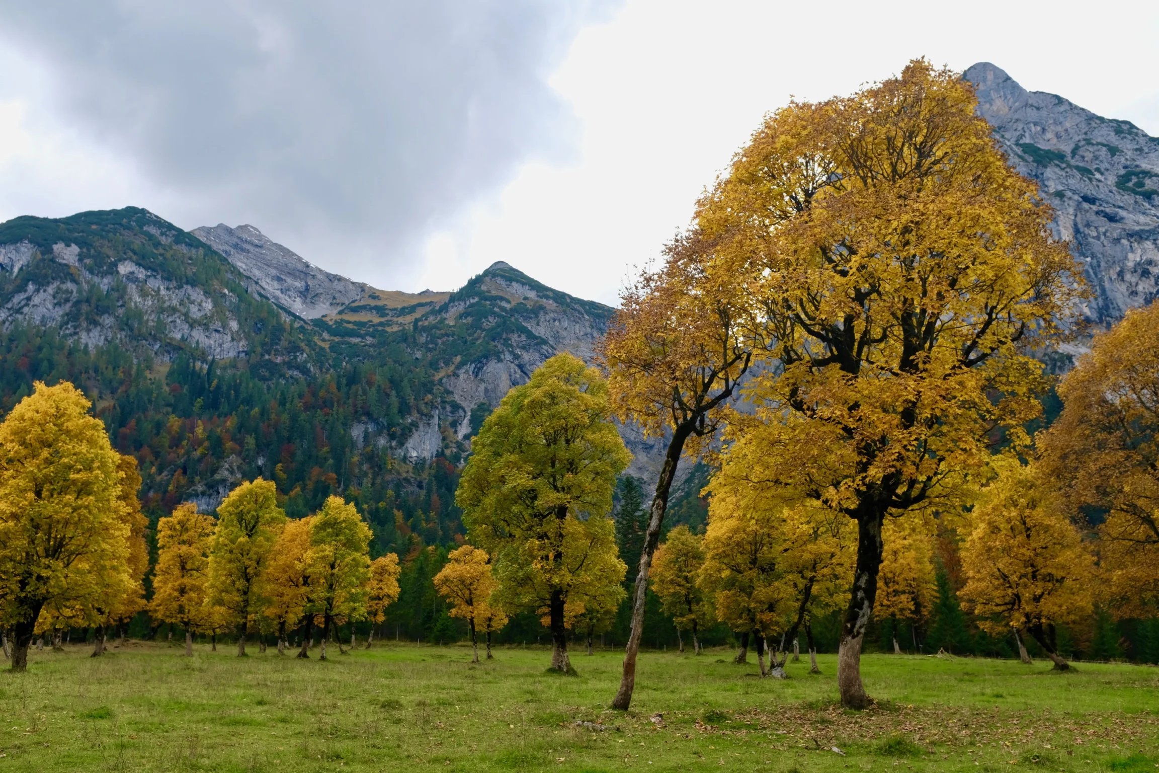Ausflüge von München. Die schönsten Plätze in Bayern und Tirol. Brauneck und Tirol. BeFifty Blog für Frauen über 40 und ab 50. Beate Finken. Wandertipps in Bayern und Tirol. Eng und Ahornboden Tirol.