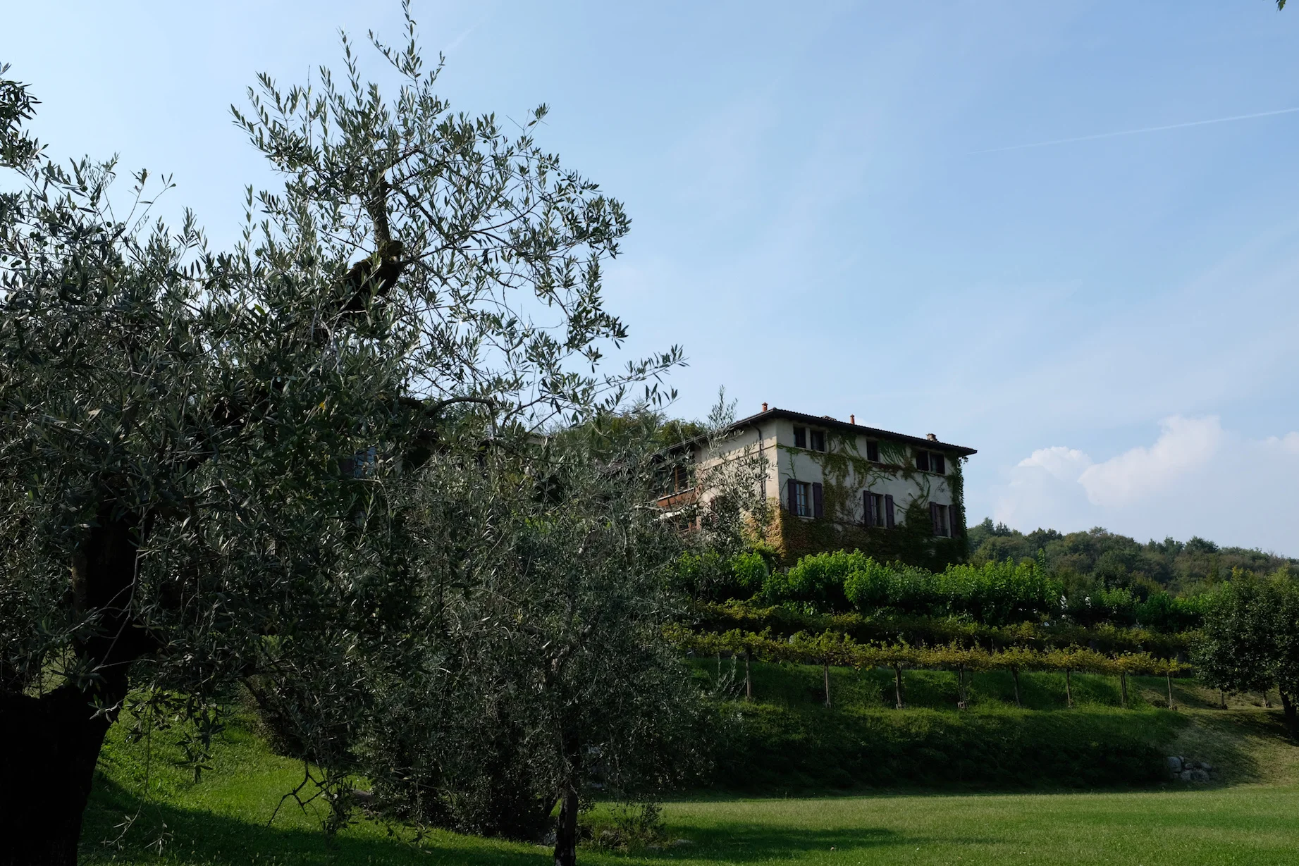 Ein wunderschönes Hotel in Salò am Gardasee. Leiser Luxus mit einem traumhaften Ausblick. Tipps einer erfahrenen Reisebloggerin. Beate Finken, Blog BeFifty, Tipps für Frauen ab 40 und über 50. Italien, Gardasee, Hoteltipp.