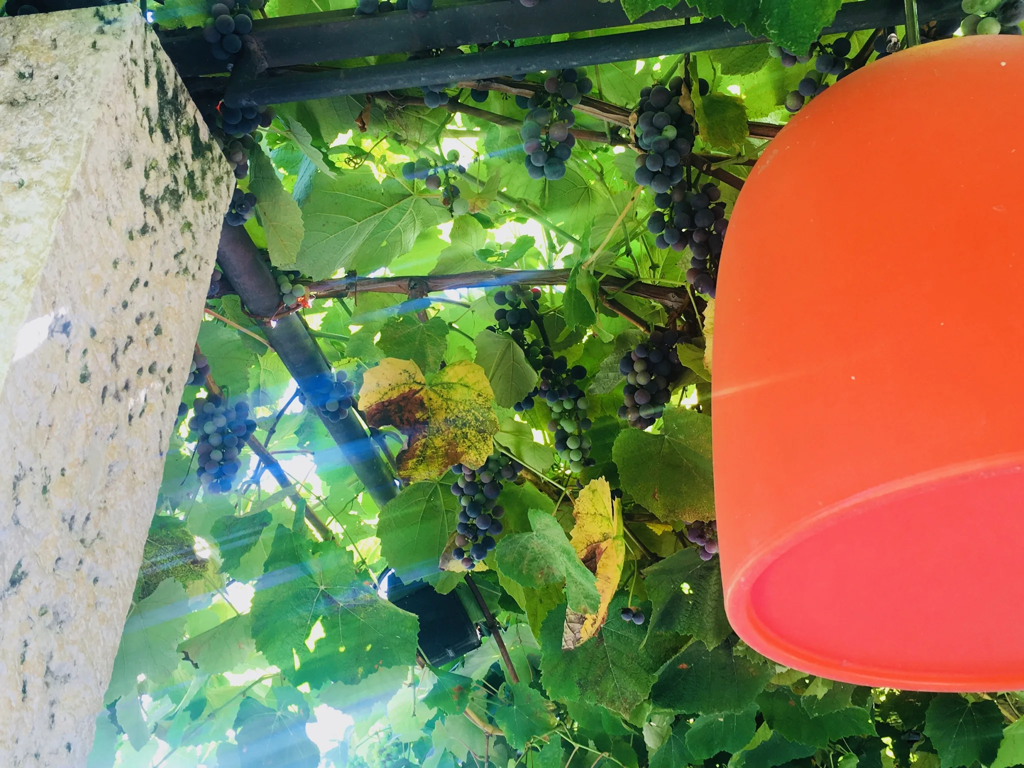 Gardassee  - wo der Süden beginnt