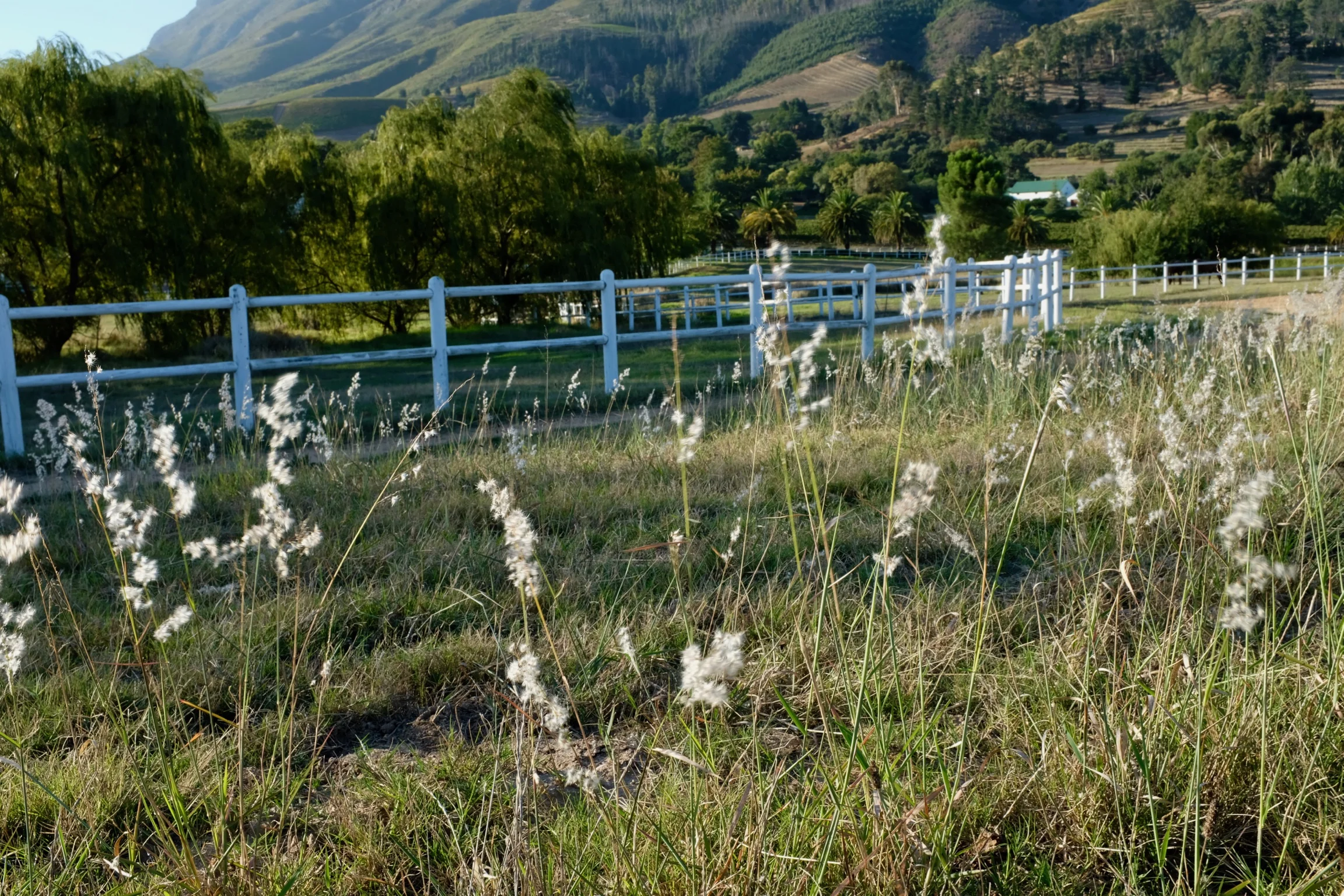 Beate Finken BeFifty Reiseblog Travel Blog für Frauen über 50 Stellenbosch Südafrika Wein Gebiet Hoteltipp Banhoek Lounge Stellenbosch