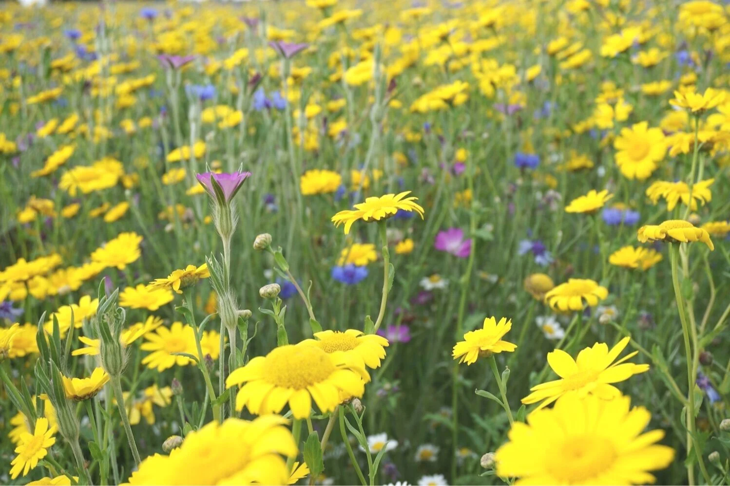 Vier-Punkte-Wohlfühlprogramm für einen guten Start ins Frühjahr