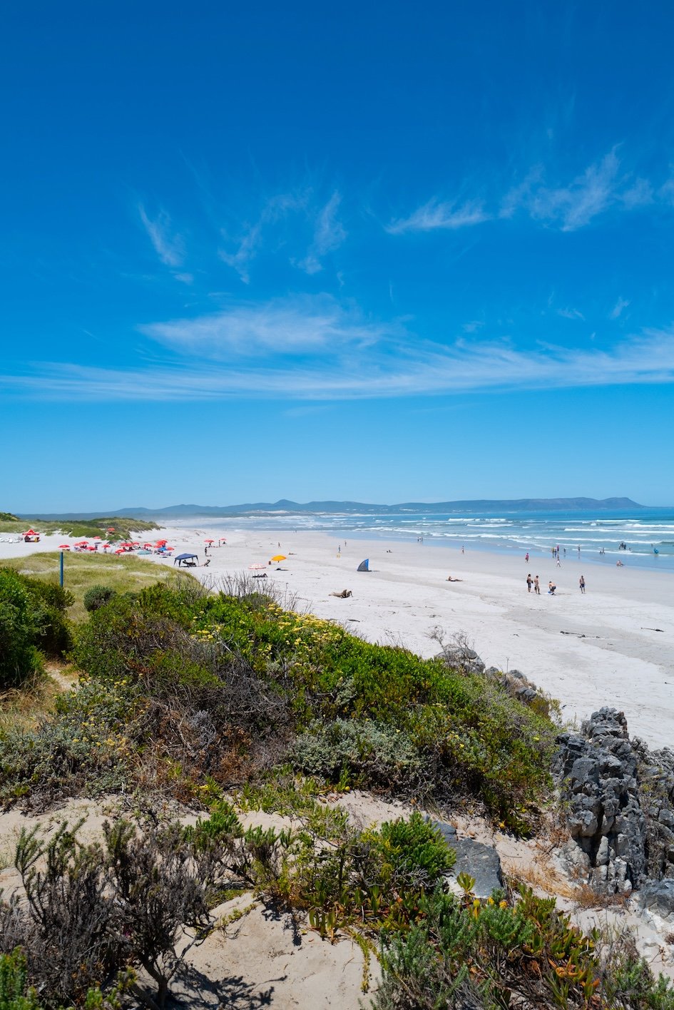 Hermanus: Am schönsten Fleck nahe Kapstadt baden und Delphine und Wale bewundern 