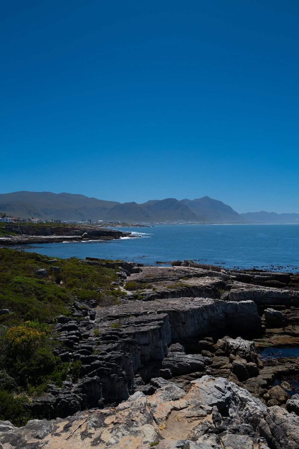 Hermanus: Am schönsten Fleck nahe Kapstadt baden und Delphine und Wale bewundern 