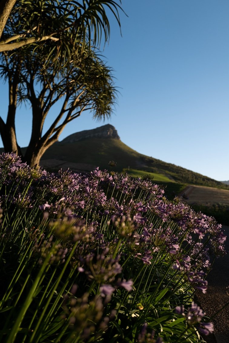 Cloud Estate Stellenbosch Hoteltipp Südafrika 