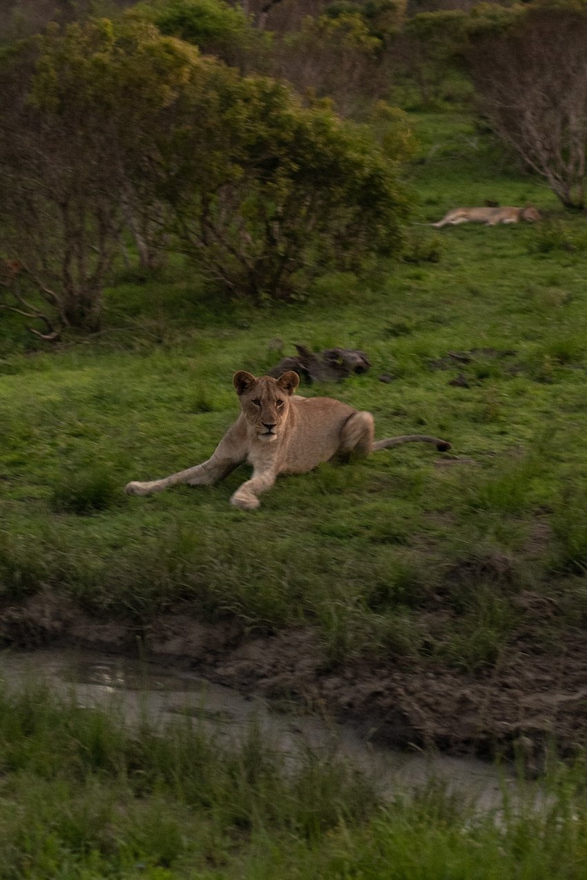 Rhino Ridge Lodge Hluhluwe-iMfolozi-Park 