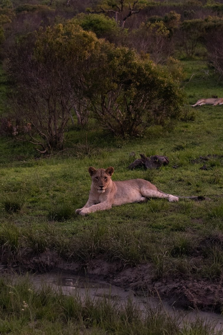 Rhino Ridge Lodge Hluhluwe-iMfolozi-Park 