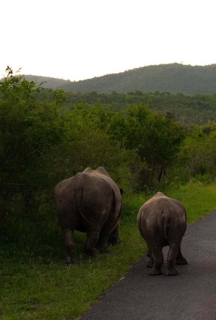 Rhino Ridge Lodge Hluhluwe-iMfolozi-Park 