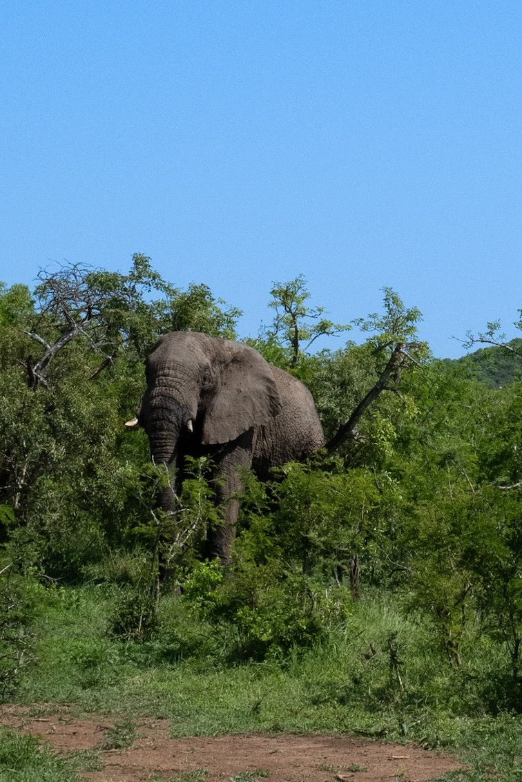 Rhino Ridge Lodge Hluhluwe-iMfolozi-Park 