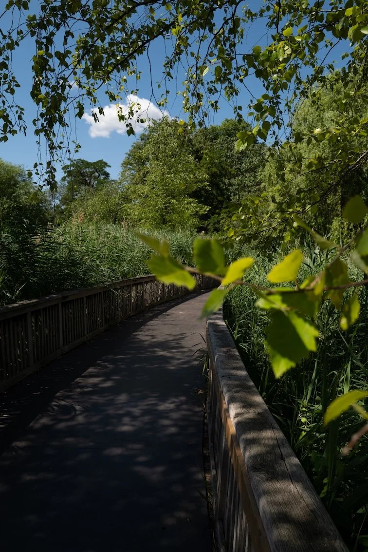 Der “Secret Garden“ im Regent’s Park London