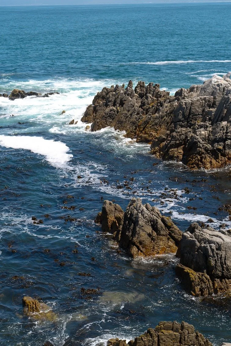 Reisetipp: Cliff Path Hermanus