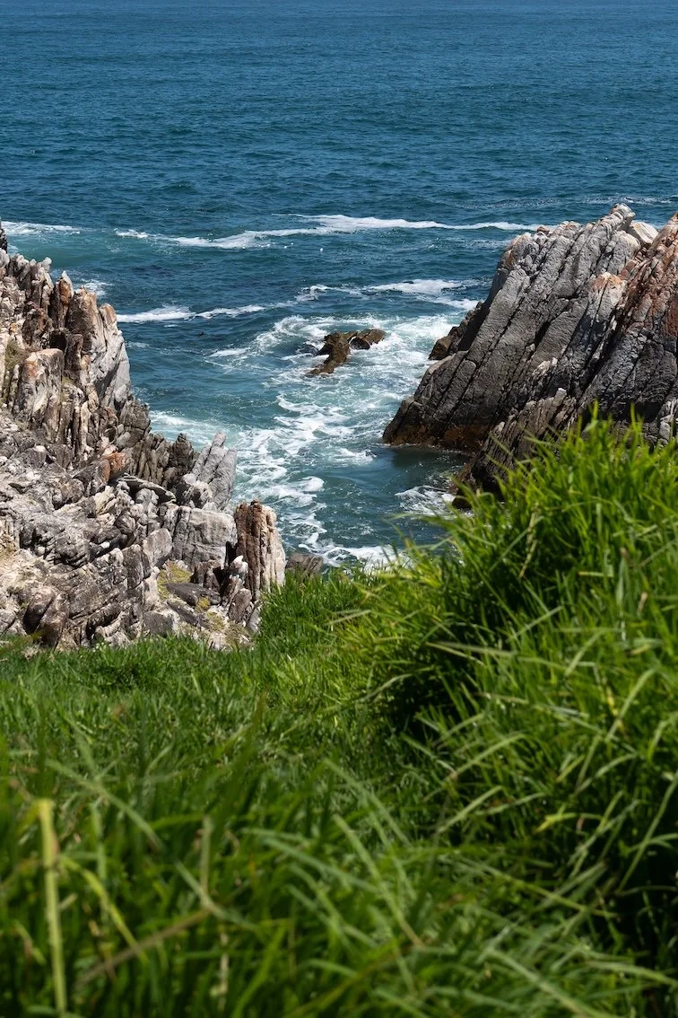 Reisetipp: Cliff Path Hermanus