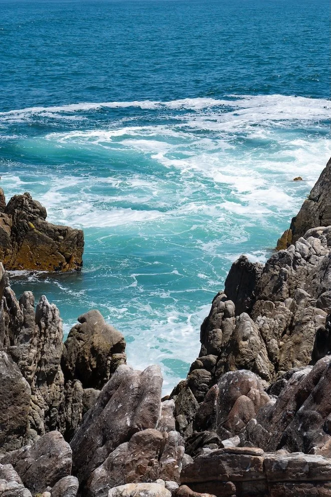 Reisetipp: Cliff Path Hermanus