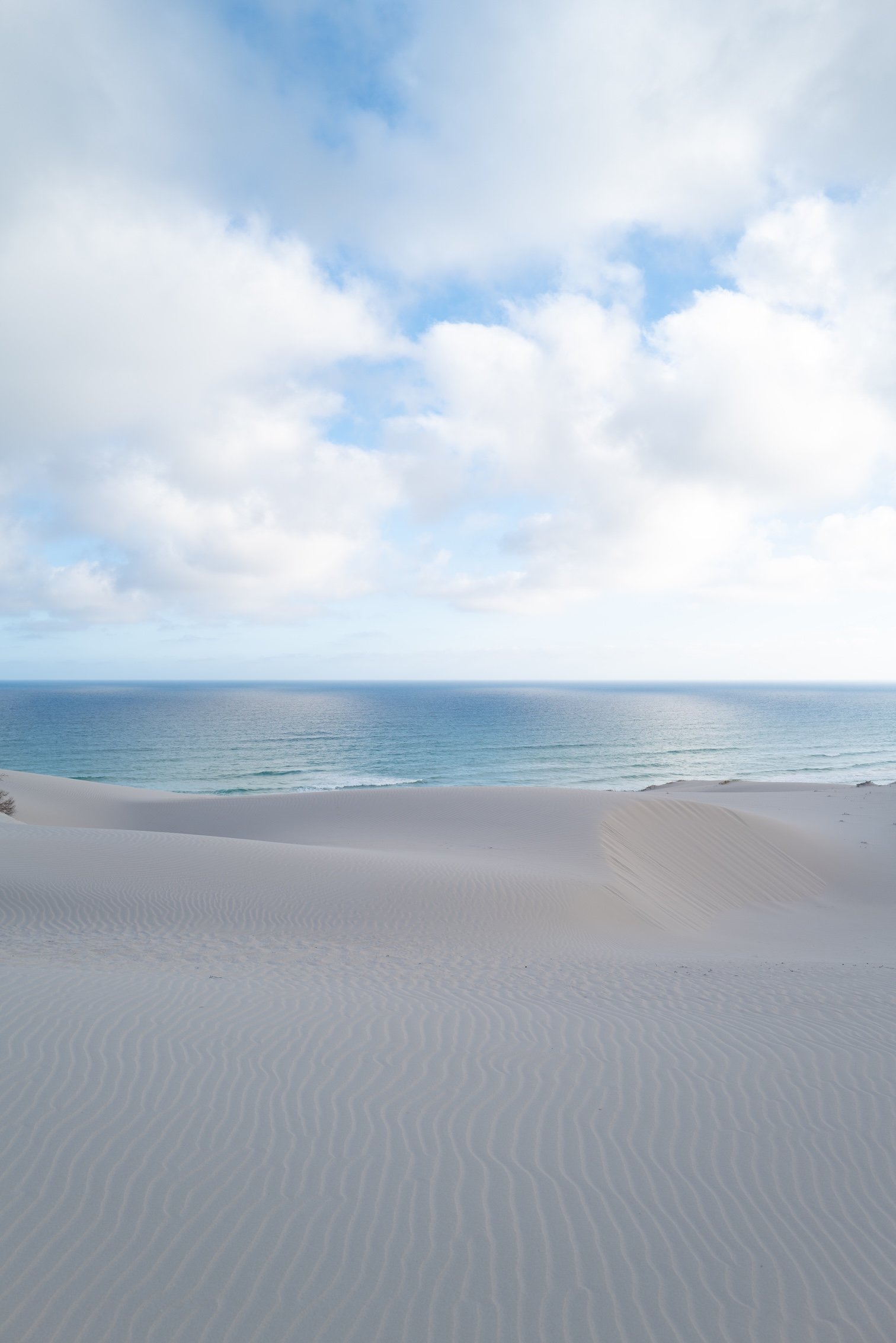 Reise an einen fast unberührten Ort: De Hoop Nature Reserve