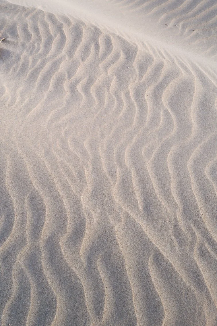 Reise an einen fast unberührten Ort: De Hoop Nature Reserve