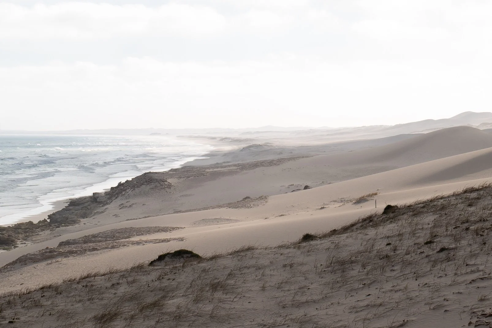 Reise an einen fast unberührten Ort: De Hoop Nature Reserve