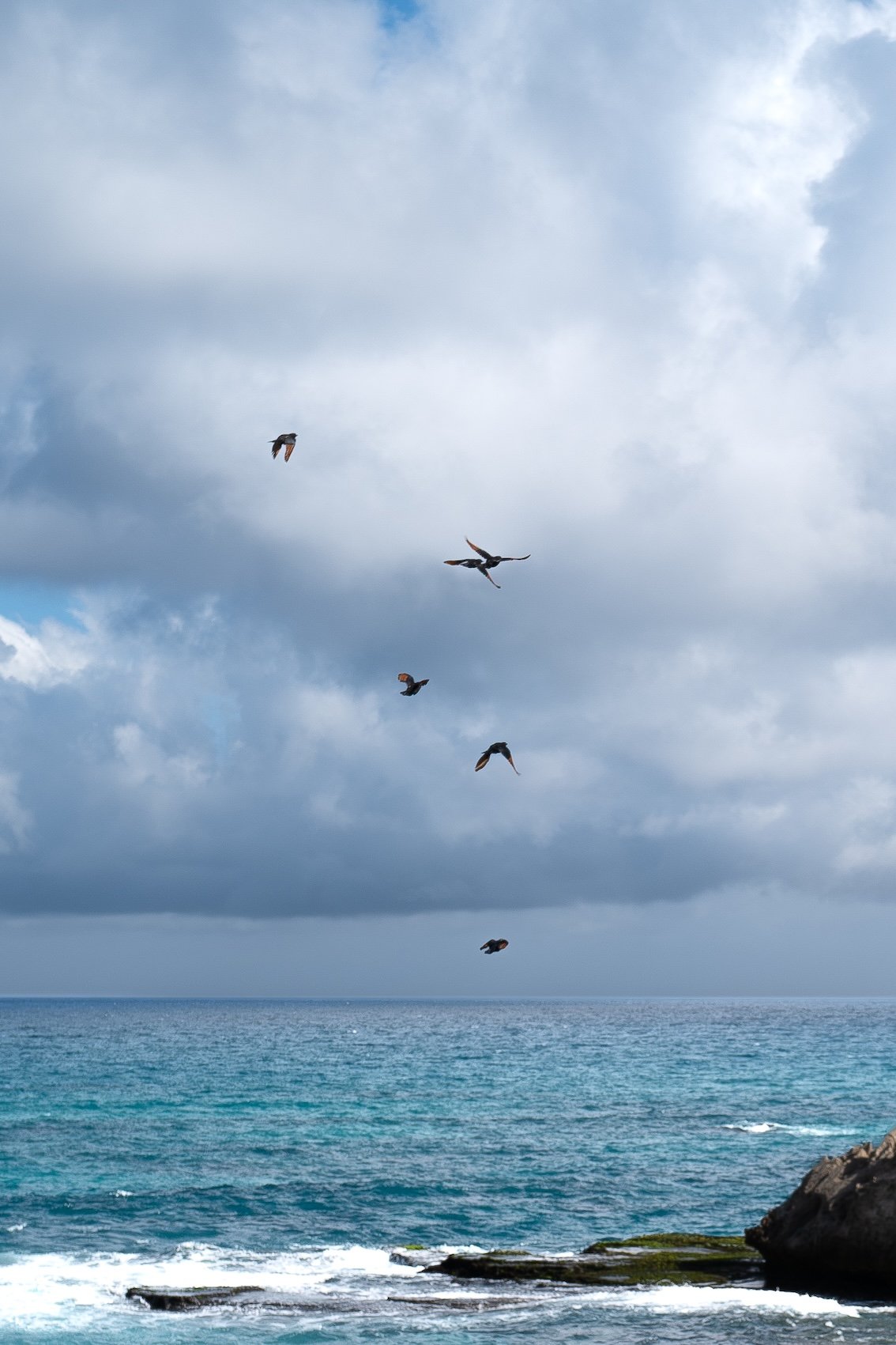 Reise an einen fast unberührten Ort: De Hoop Nature Reserve Südafrika 