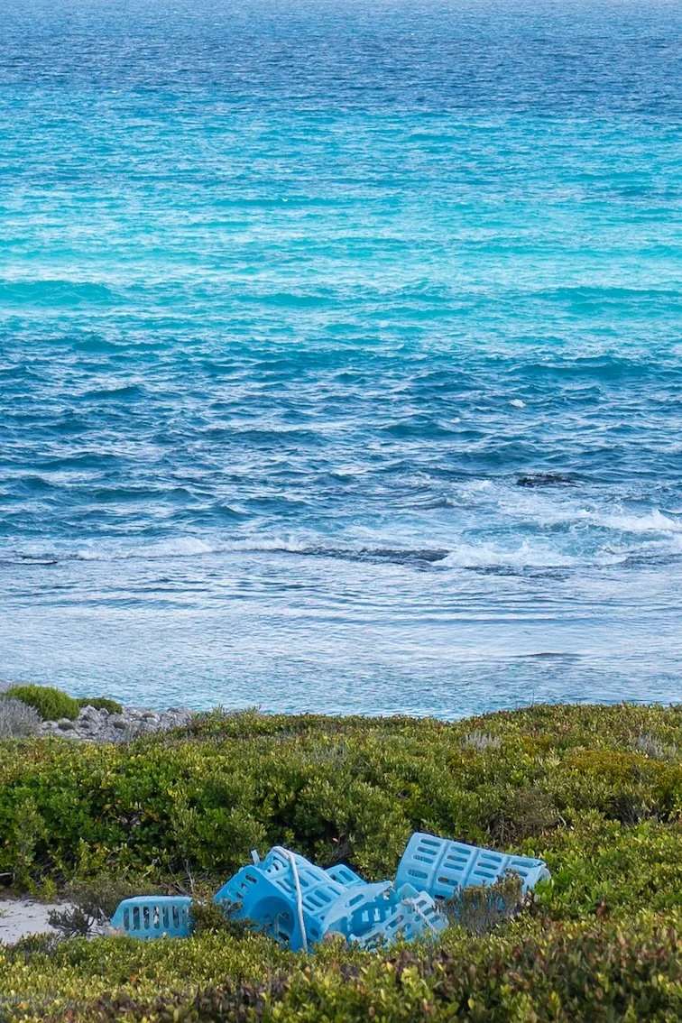 Reise an einen fast unberührten Ort: De Hoop Nature Reserve Südafrika