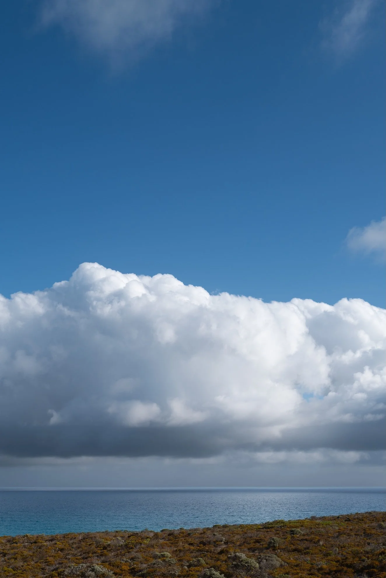 Reisetipps Südafrika De Hoop Nature Reserve Südafrika