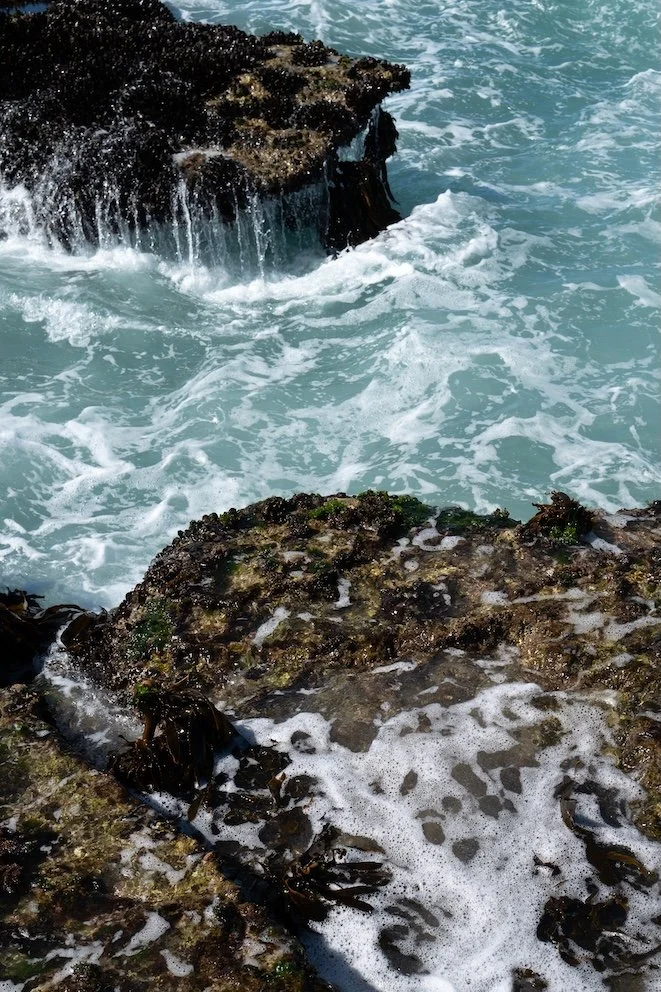 Reisetipps Südafrika De Hoop Nature Reserve Südafrika